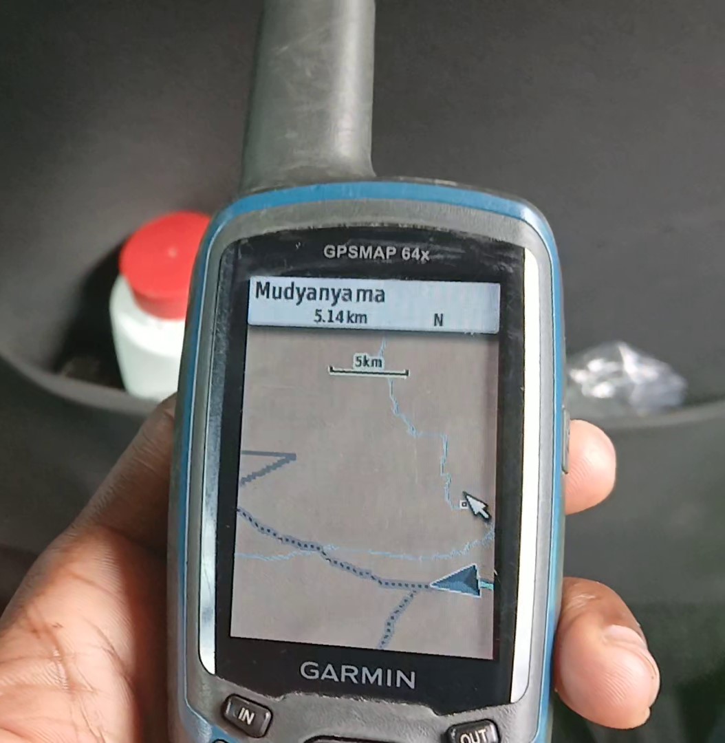 Survey image 4