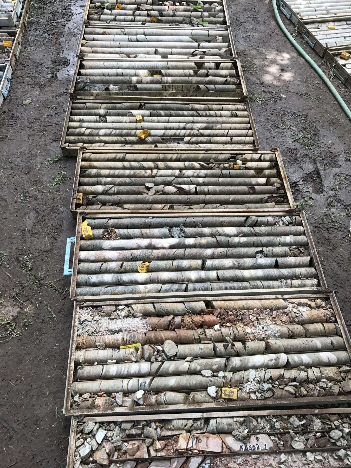 Survey image 4